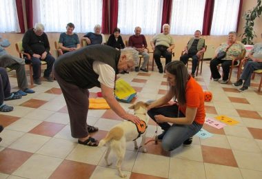 Ambasadorji nasmeha: »Ko kuža vstopi v prostor, se večini razvedri obraz«