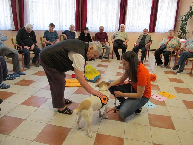 Ambasadorji nasmeha: »Ko kuža vstopi v prostor, se večini razvedri obraz«