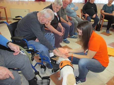 Ambasadorji nasmeha: »Ko kuža vstopi v prostor, se večini razvedri obraz«