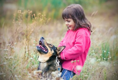 Sobivanje otroka in psa: če pustimo, da otrok psa muči, od sobivanja ne bo nobenih pozitivnih učinkov