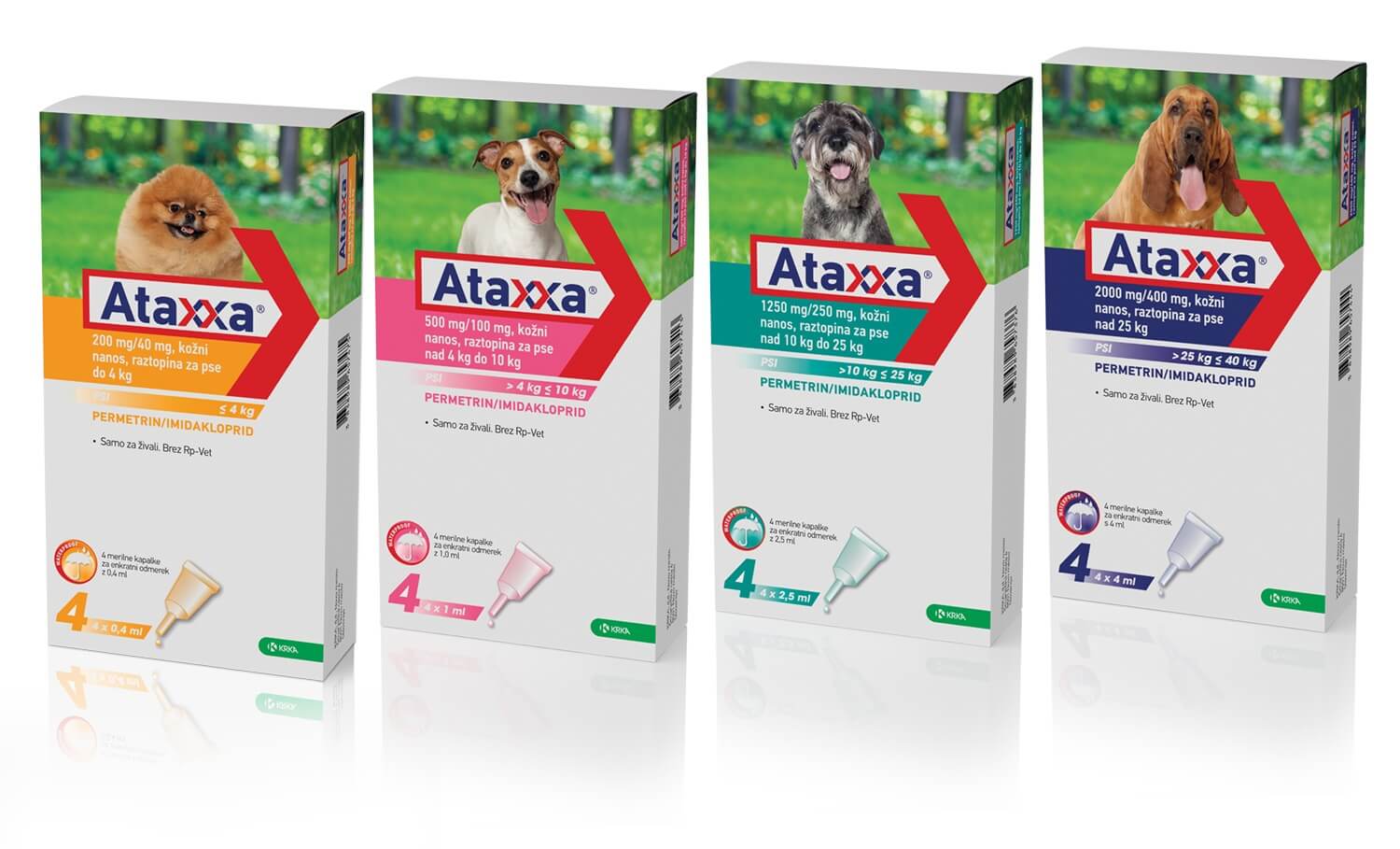 Poskrbimo za zaščito pred srčno glisto