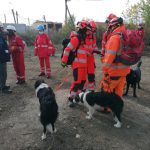 Foto: Centrul National Educare Canina Romania