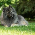 shutterstock_2182477085 (1)