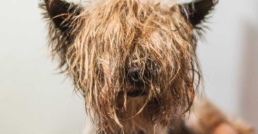 foto: adobestock