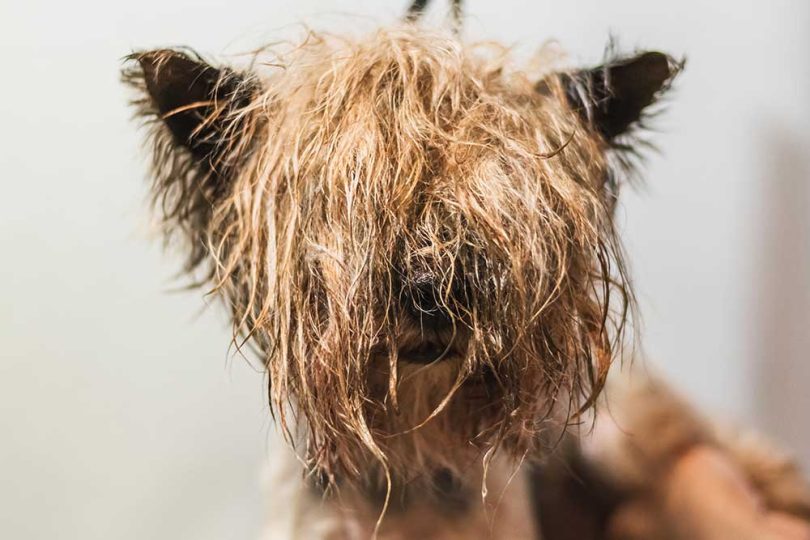foto: adobestock