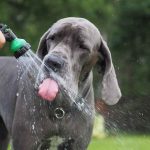 Foto: stock.adobe.com