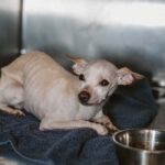 fotogrfija je simbolična (stock.adobe.com)