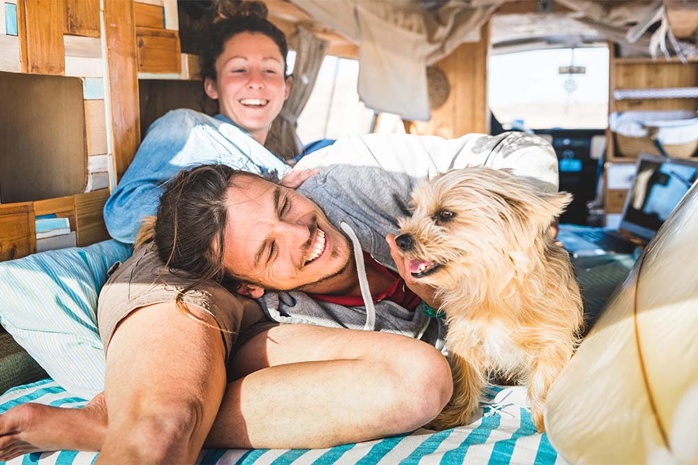 potovanje s psom ali mačko