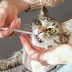 Fotografija je simbolična, stock.adobe.com